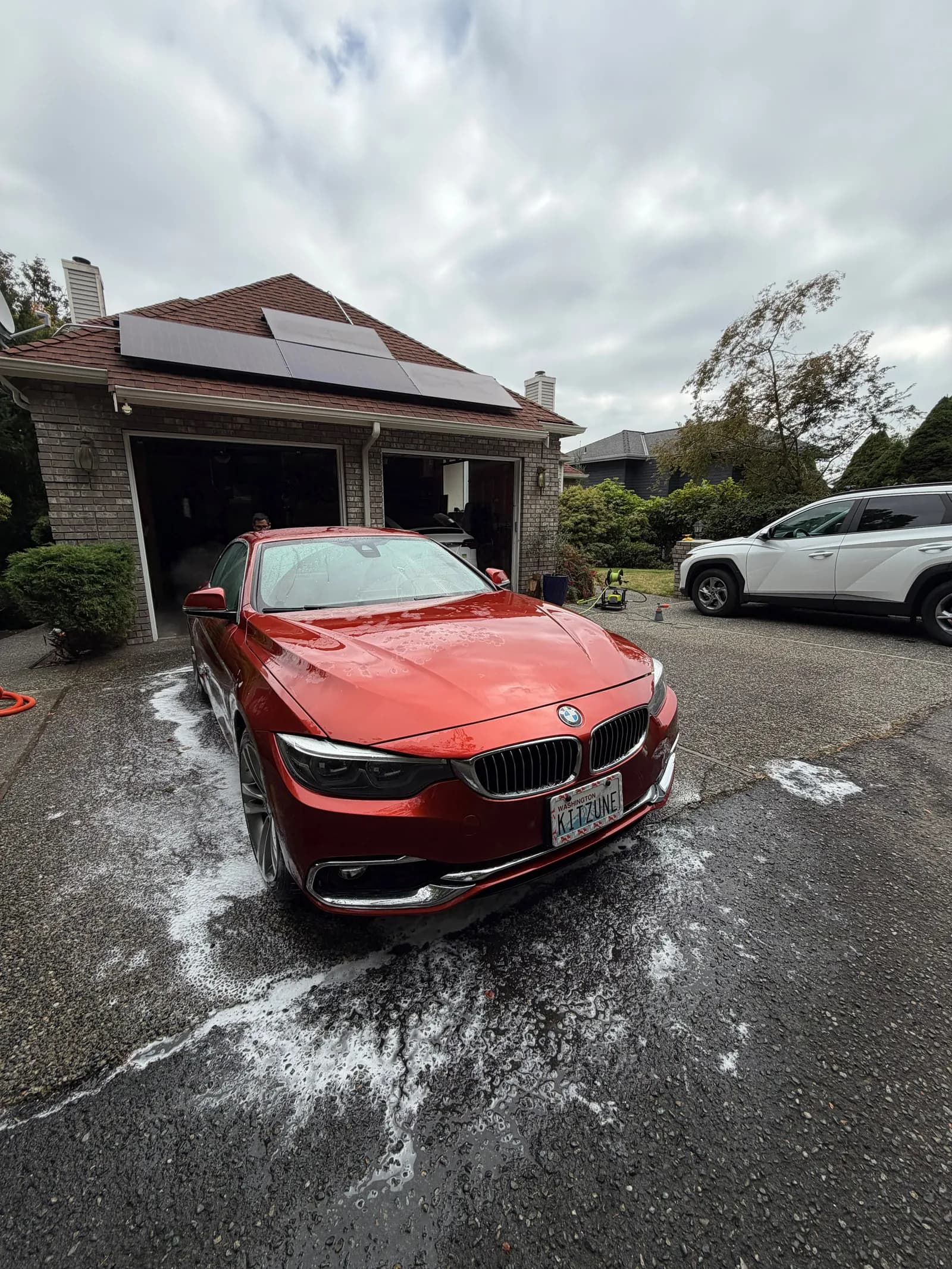 Clay Bar & Sealant