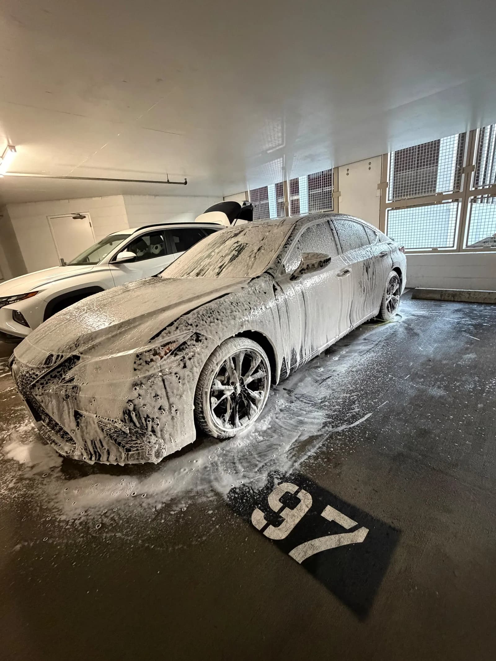 Signature Detail — mobile car detailing in Seattle by Lis's Car Detailing