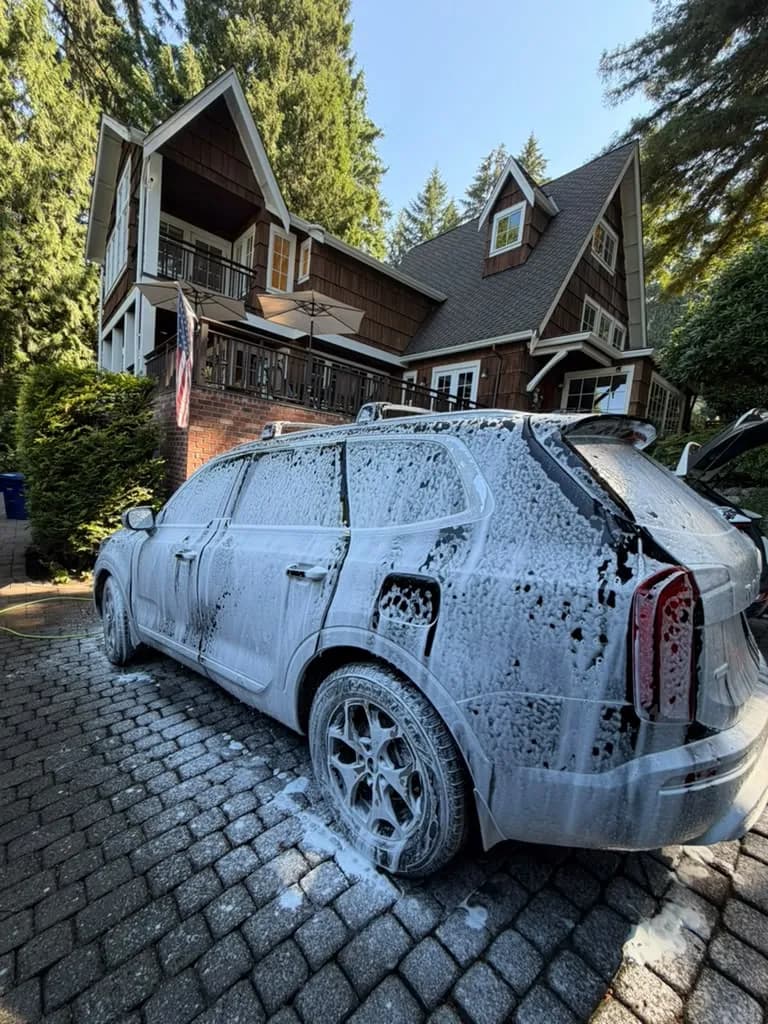 Exterior Detail — mobile car detailing in Seattle by Lis's Car Detailing